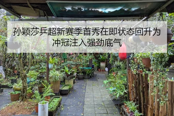 孙颖莎乒超新赛季首秀在即状态回升为冲冠注入强劲底气