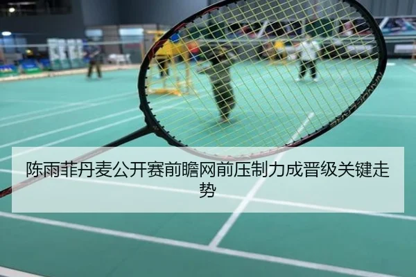 陈雨菲丹麦公开赛前瞻网前压制力成晋级关键走势